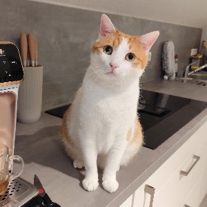 Benji