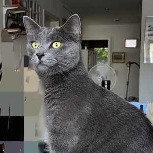 Ramses